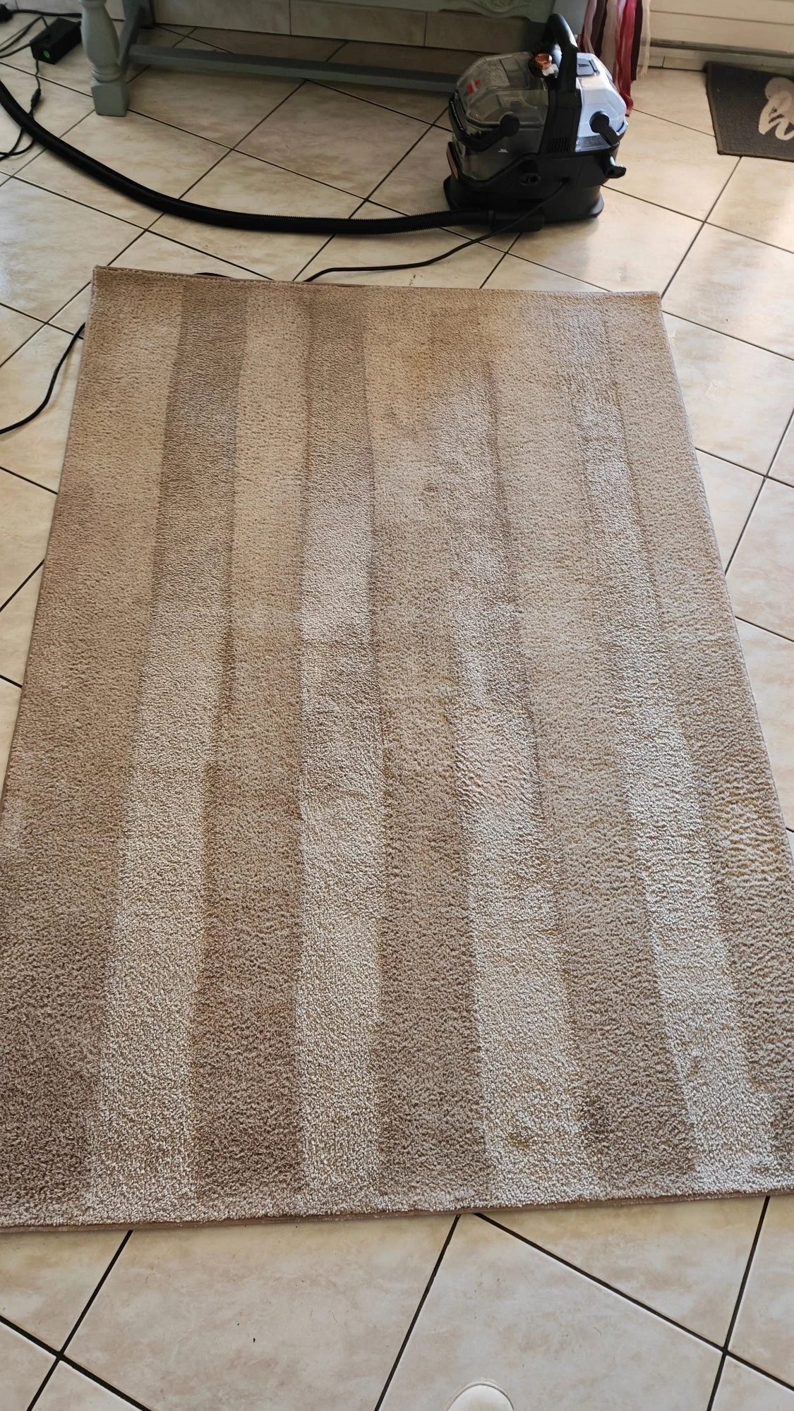 Tapis après remise au propre globale